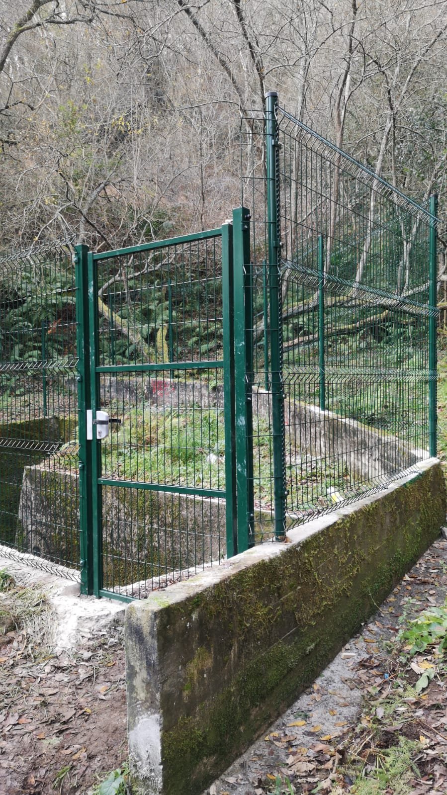 Puerta de acceso — Proyecto 14