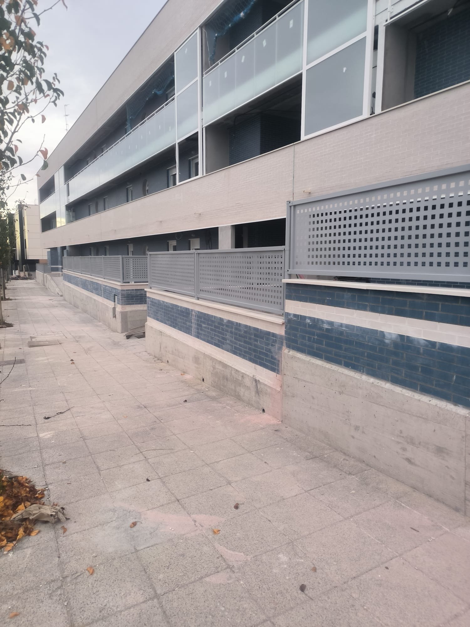Verja — Proyecto 31
